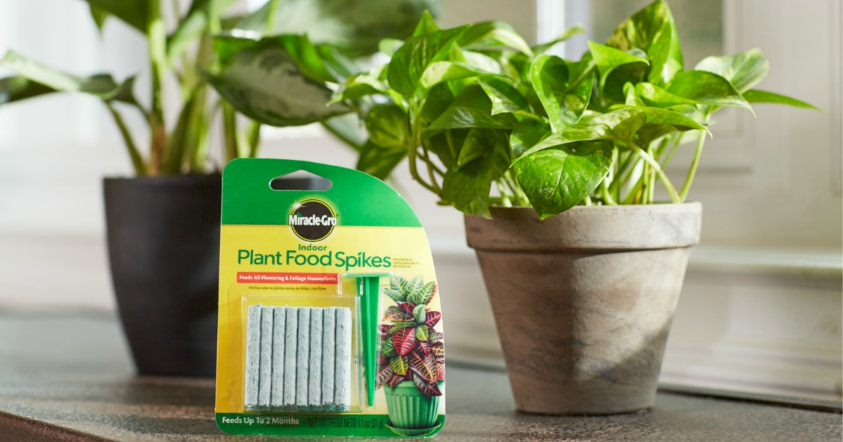 Amazon – 48-ct Miracle-Gro Indoor Plant Food Spikes just .13!
