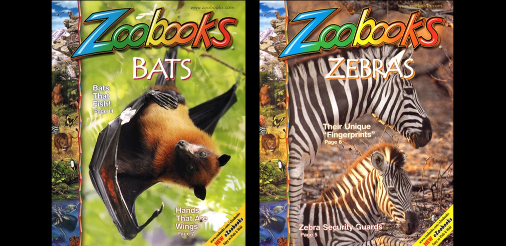 Subscription to Zoobooks Magazine just .99!