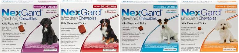 Free NexGard Oral Flea/Tick Prevention